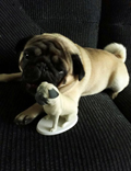 Boris the pug 3d printed sculpture