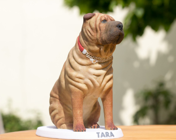 Sharpei 3d printed figurine by Mon Petit Chien