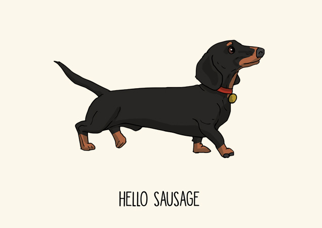 Dachshund hello sausage funny greeting card by Mon Petit Chien