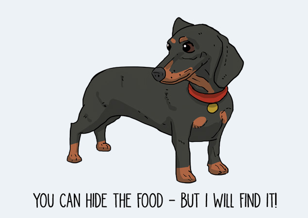 I WILL find the food: funny Dachshund postcard by Mon Petit Chien