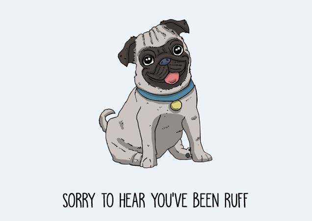 Sorry to hear you've been ruff! Pug get well soon postcard by Mon Petit Chien