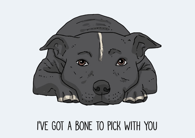 I've got a bone to pick with you! Funny Staffie postcard by Mon Petit Chien